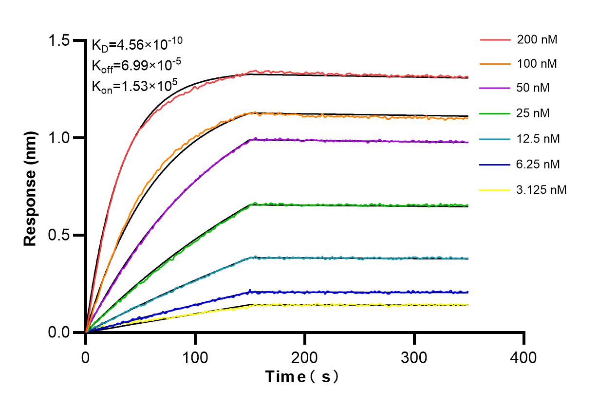 Biolayer interferometry (BLl) kinetic assays of 85445-2-PBS against Human PPA1 were performed. The affinity constant is 0.456 nM. Affinity and Kinetic Characterization of 85445-2-PBS