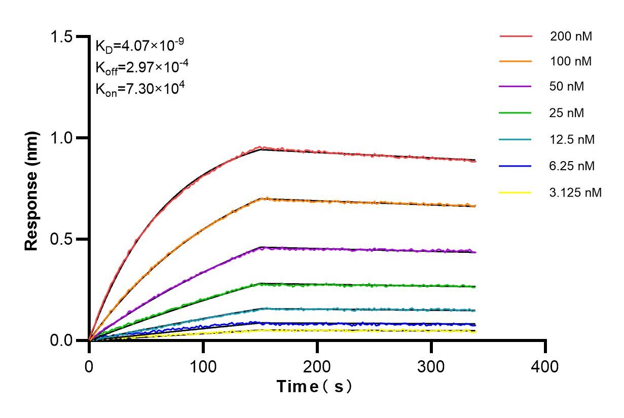 Affinity and Kinetic Characterization of 85445-3-RR