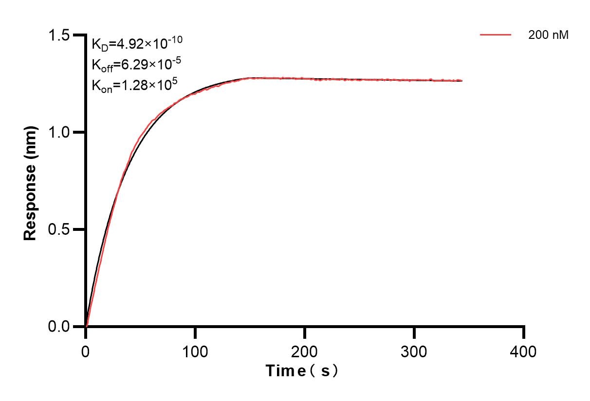 Affinity and Kinetic Characterization of 85446-2-PBS