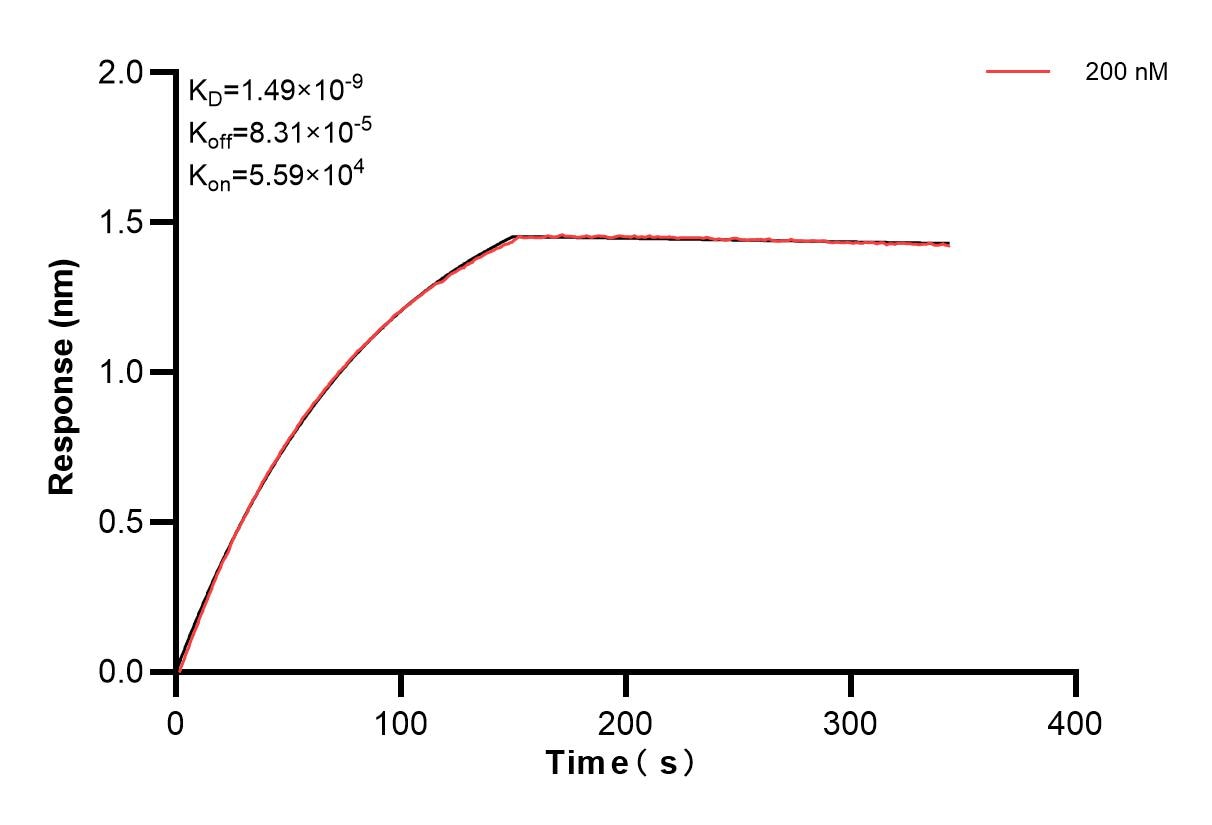 Affinity and Kinetic Characterization of 85448-5-PBS