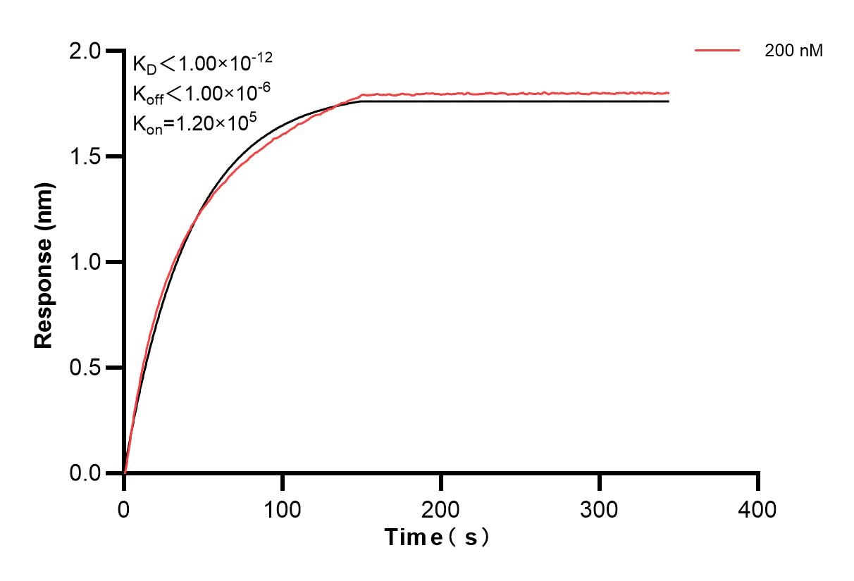 Affinity of 85596-2-PBS