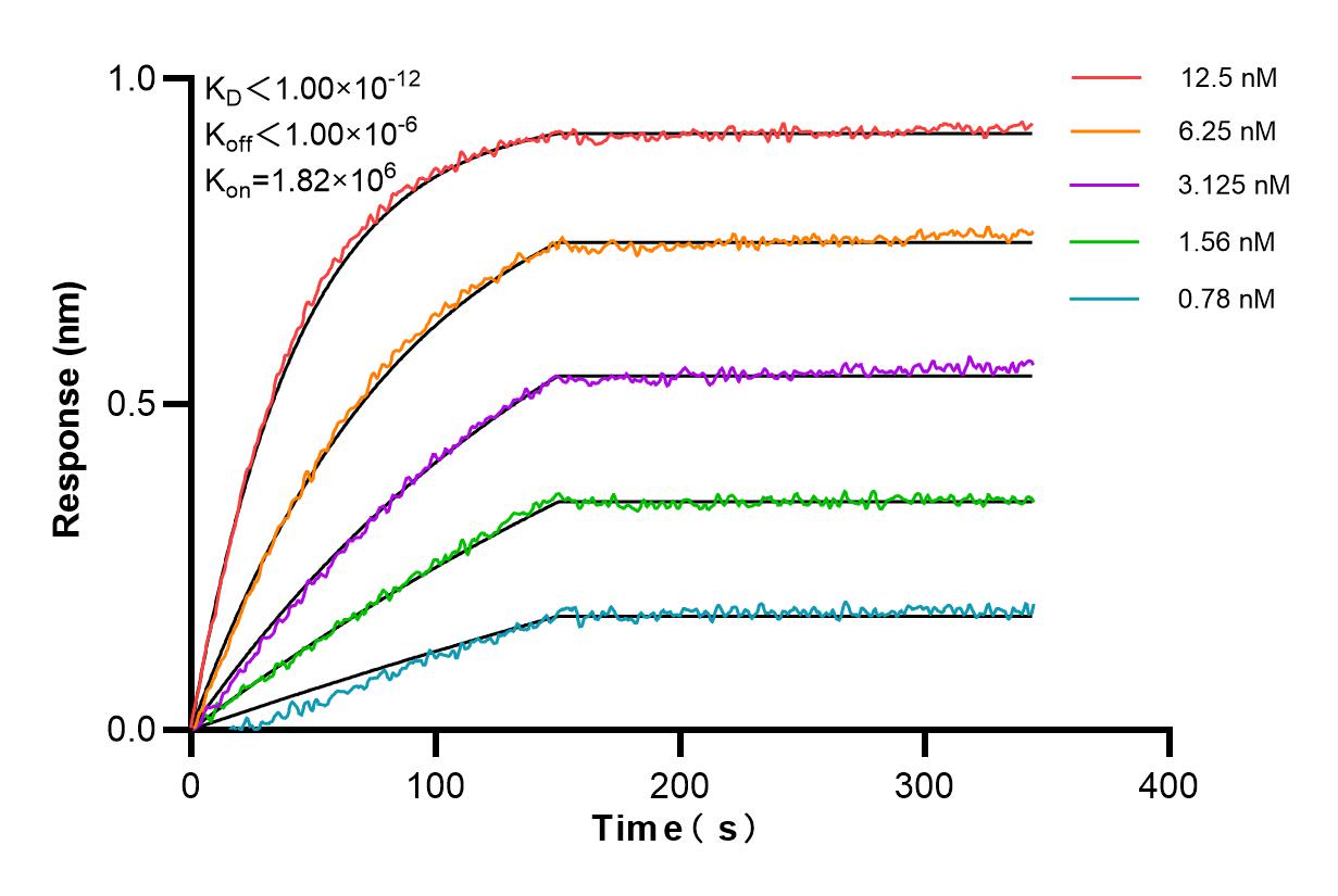 Affinity and Kinetic Characterization of 85601-6-PBS