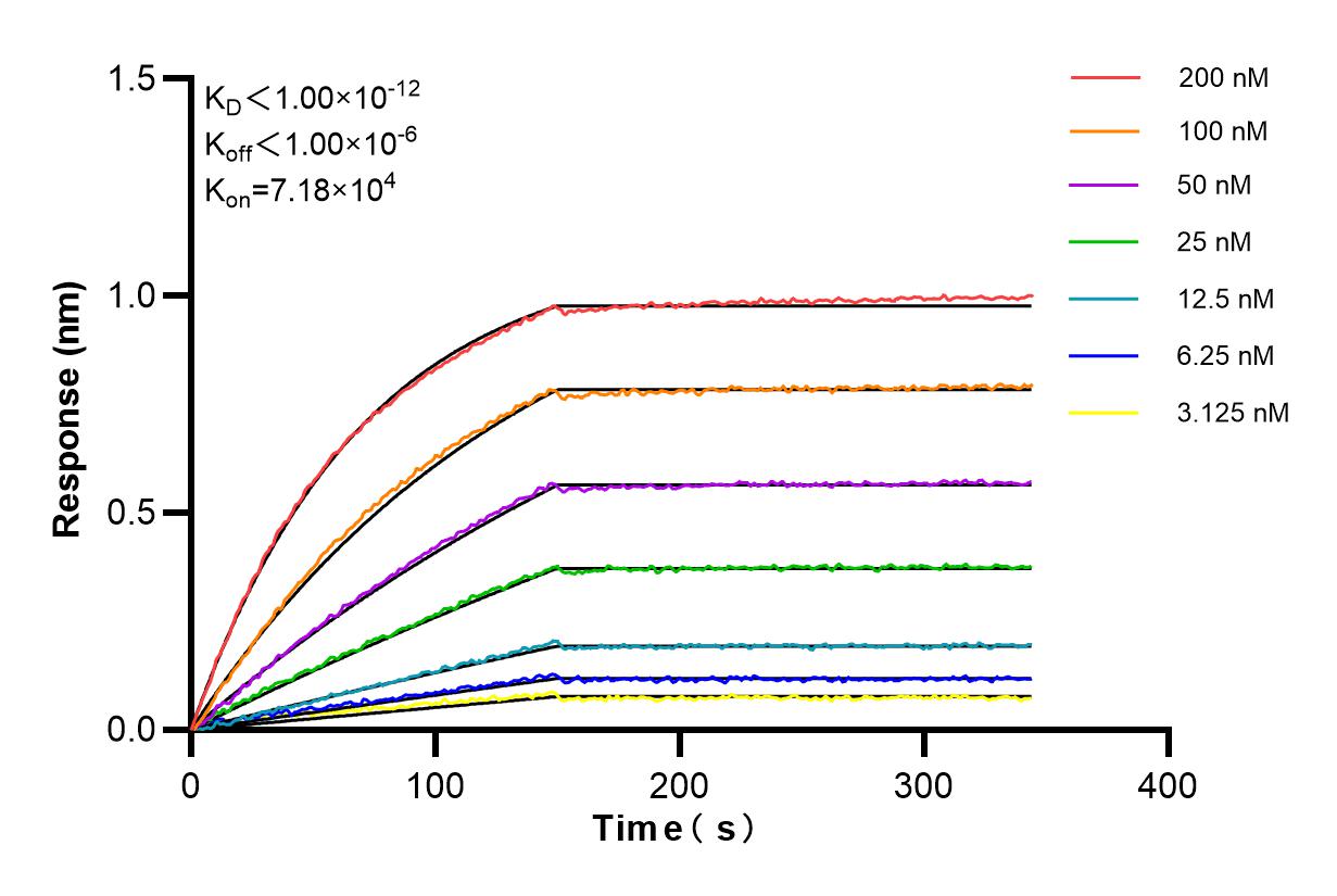 Affinity and Kinetic Characterization of 85612-3-RR