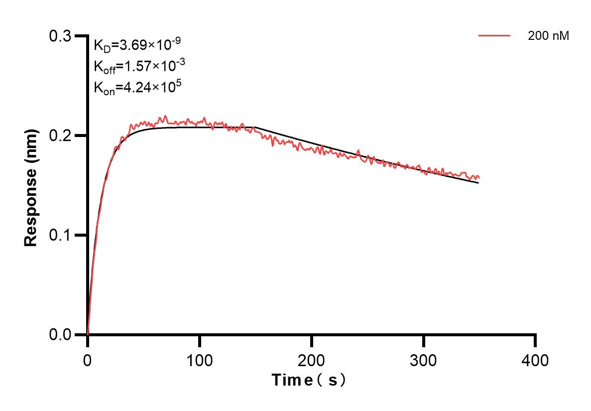 Affinity and Kinetic Characterization of 85613-2-PBS