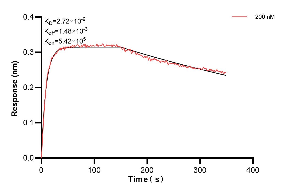 Affinity and Kinetic Characterization of 85613-3-PBS
