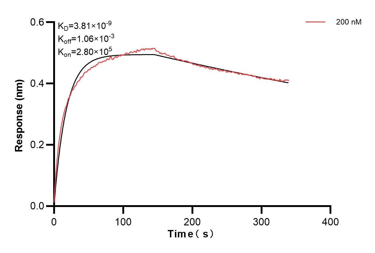 Affinity of 85617-3-PBS