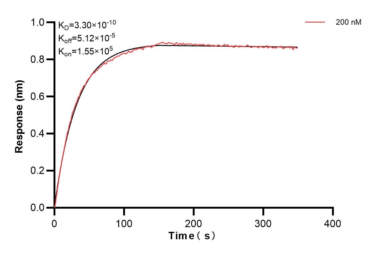 Affinity and Kinetic Characterization of 85623-3-PBS Affinity and Kinetic Characterization of 85623-3-PBS