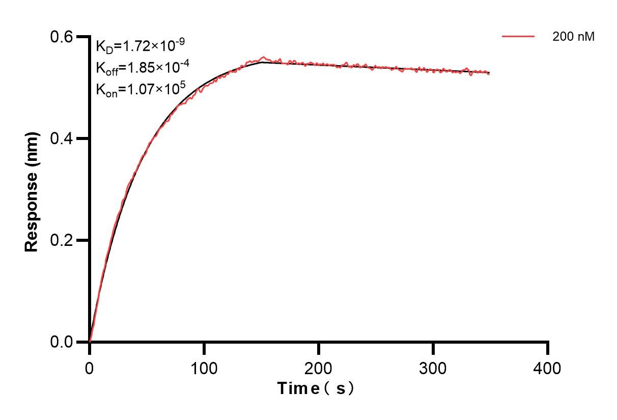 Affinity and Kinetic Characterization of 85627-2-PBS