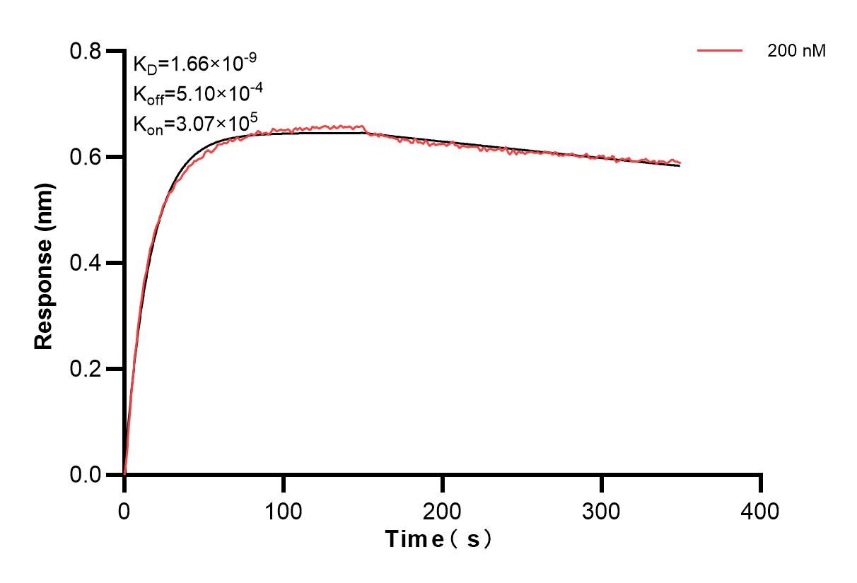 Affinity and Kinetic Characterization of 85627-3-PBS