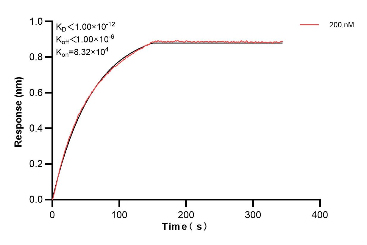 Affinity and Kinetic Characterization of 85633-3-PBS