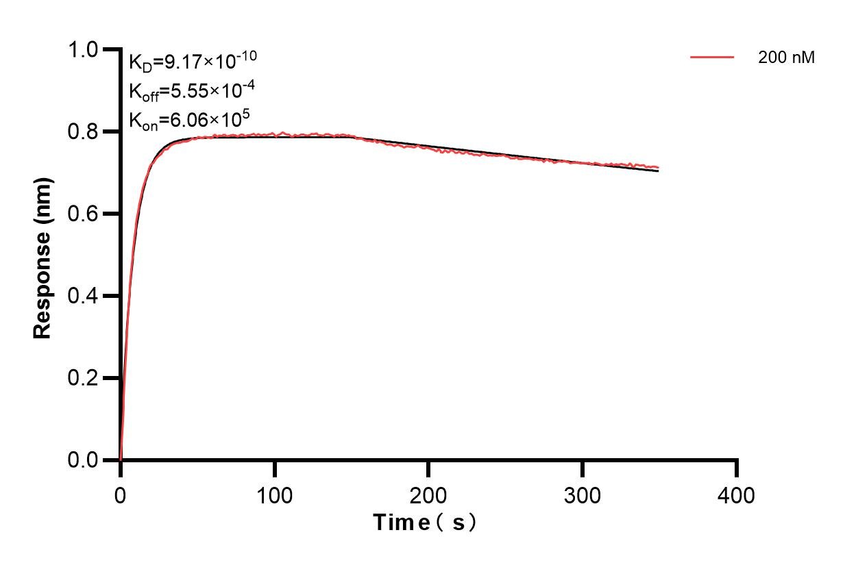 Biolayer interferometry (BLl) kinetic assay of 85639-3-PBS against Human PFKFB2 was performed. The affinity constant is 0.917 nM. Affinity and Kinetic Characterization of 85639-3-PBS