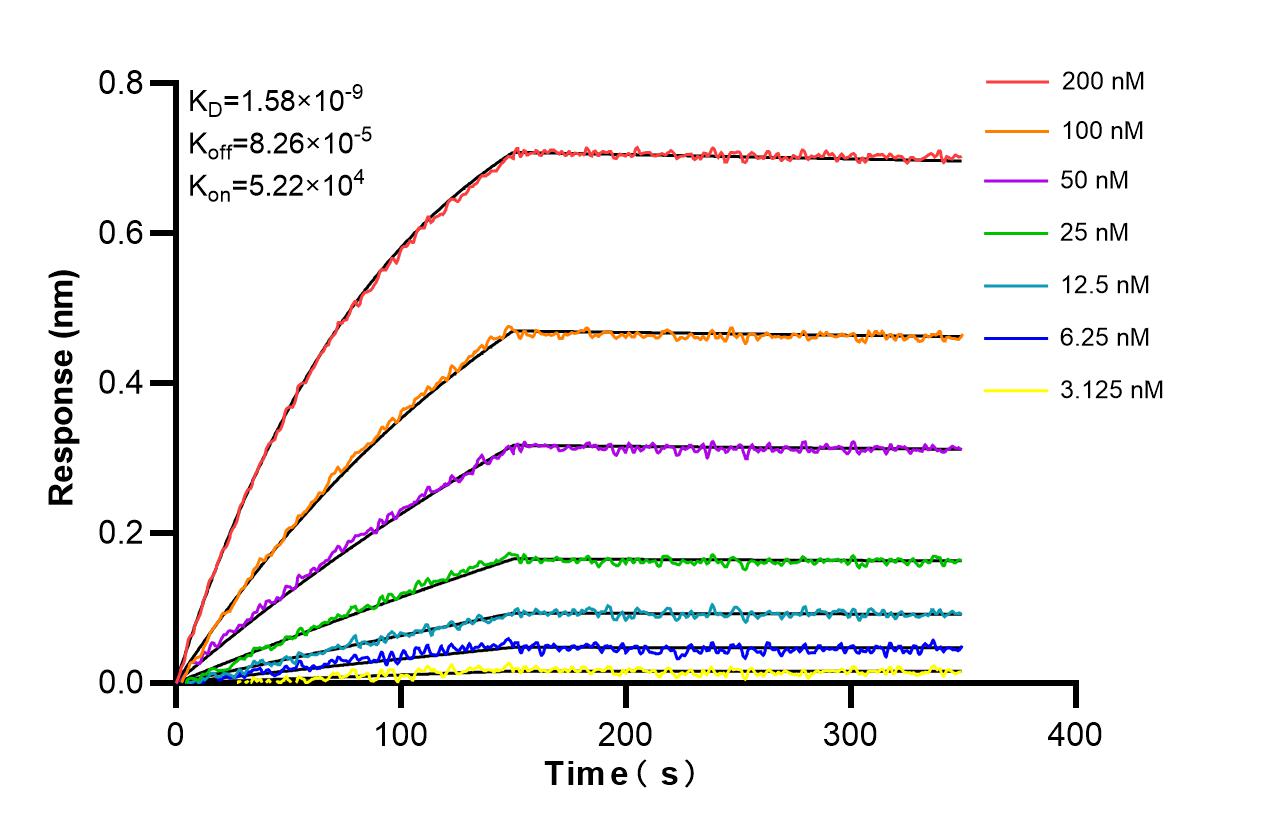 Affinity and Kinetic Characterization of 85639-5-PBS
