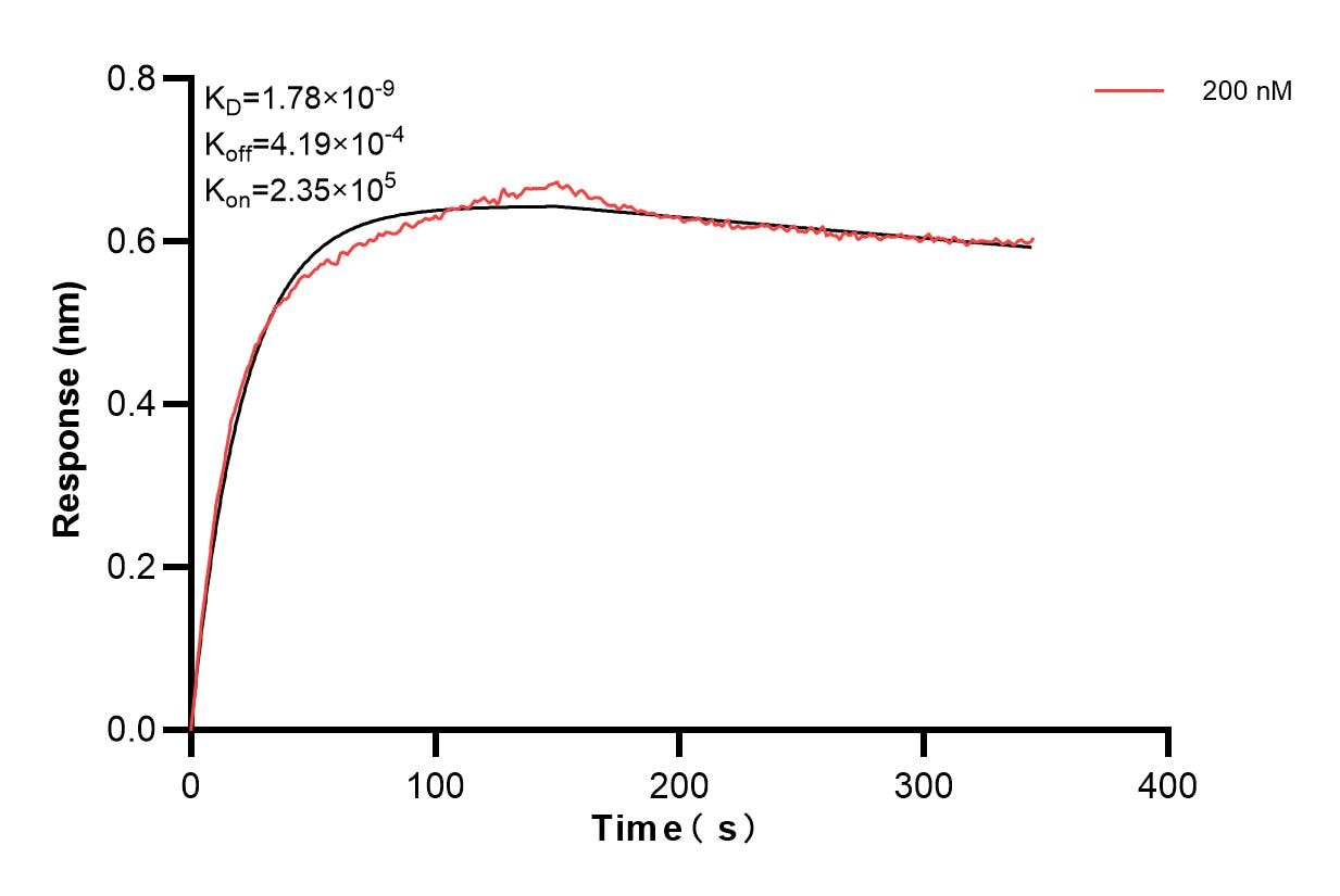 Affinity and Kinetic Characterization of 85640-2-PBS