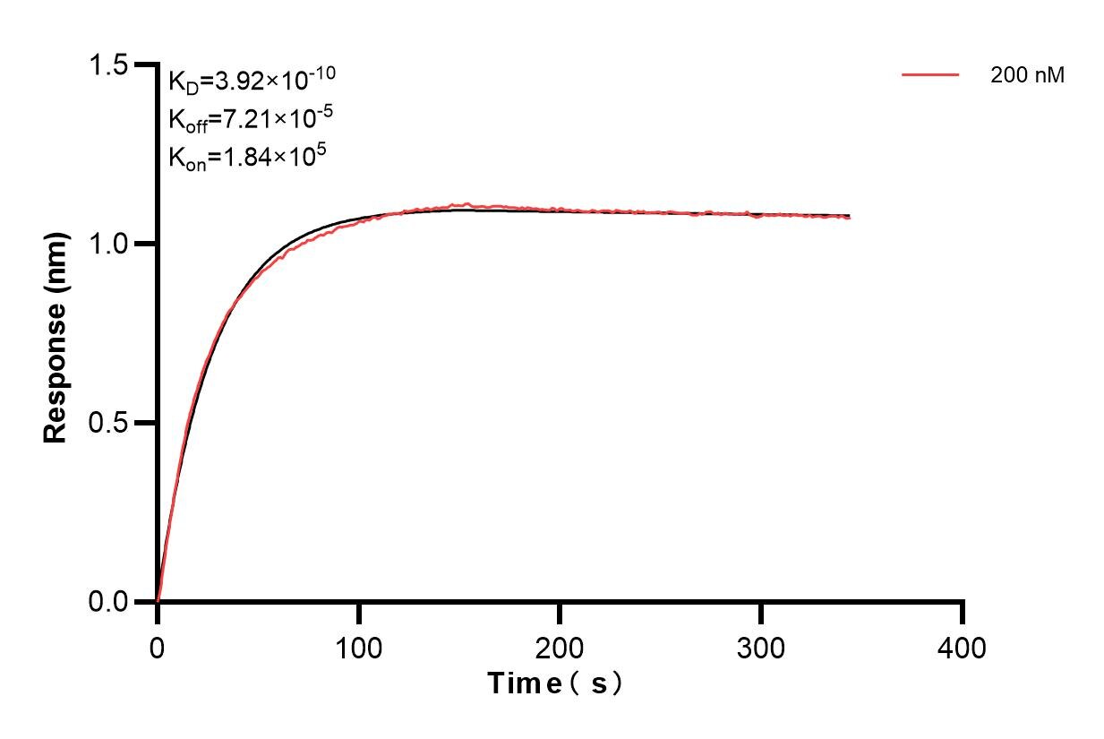 Affinity and Kinetic Characterization of 85642-2-PBS