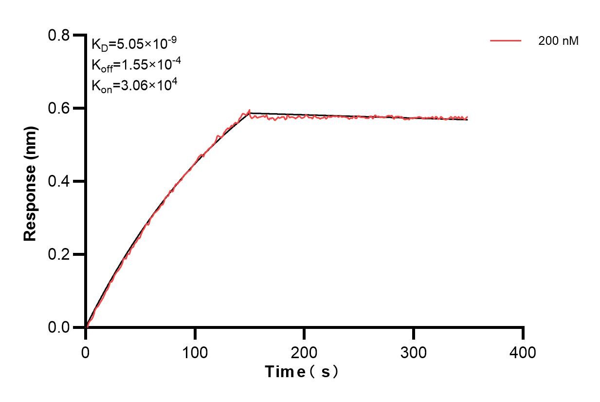 Affinity and Kinetic Characterization of 85651-3-PBS