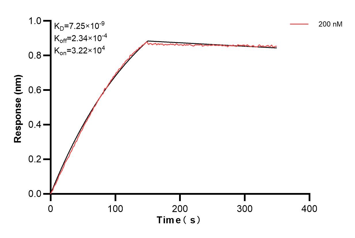 Affinity and Kinetic Characterization of 85651-5-PBS