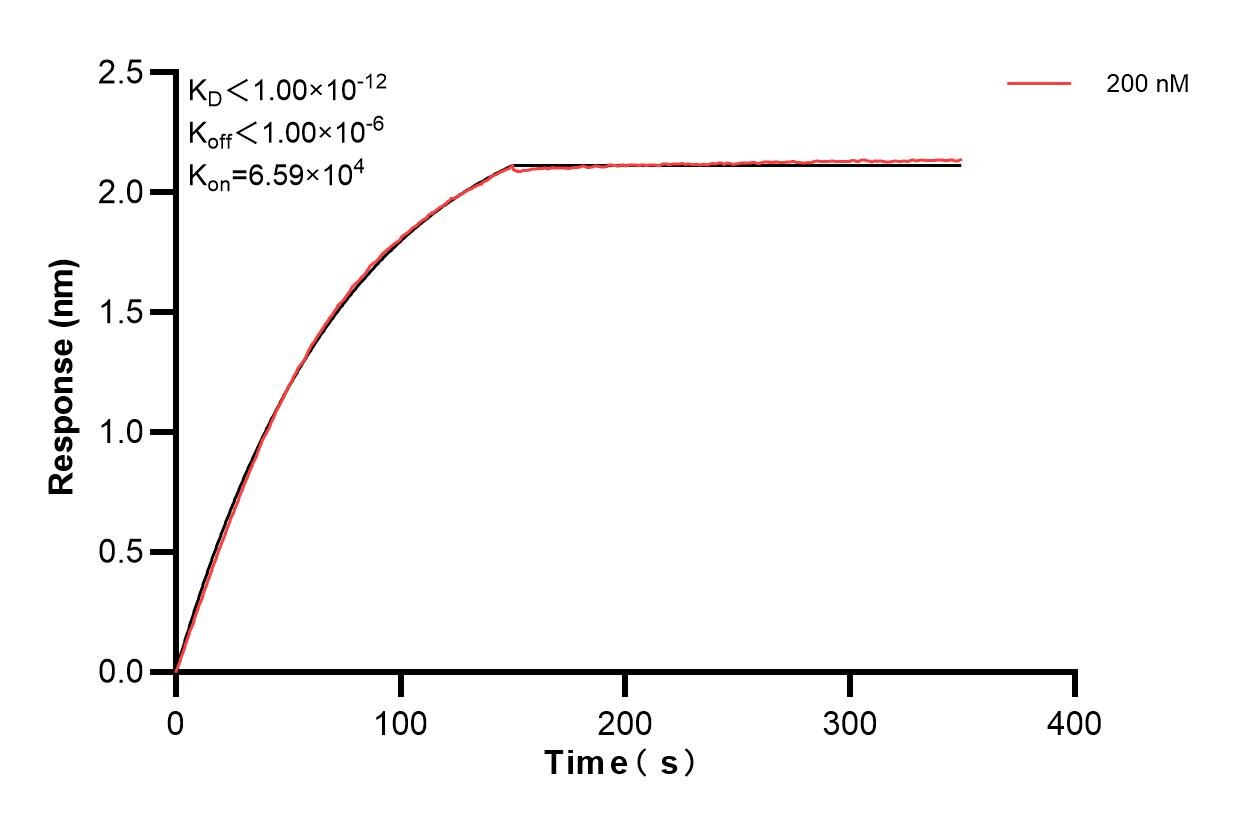Affinity and Kinetic Characterization of 85662-2-PBS