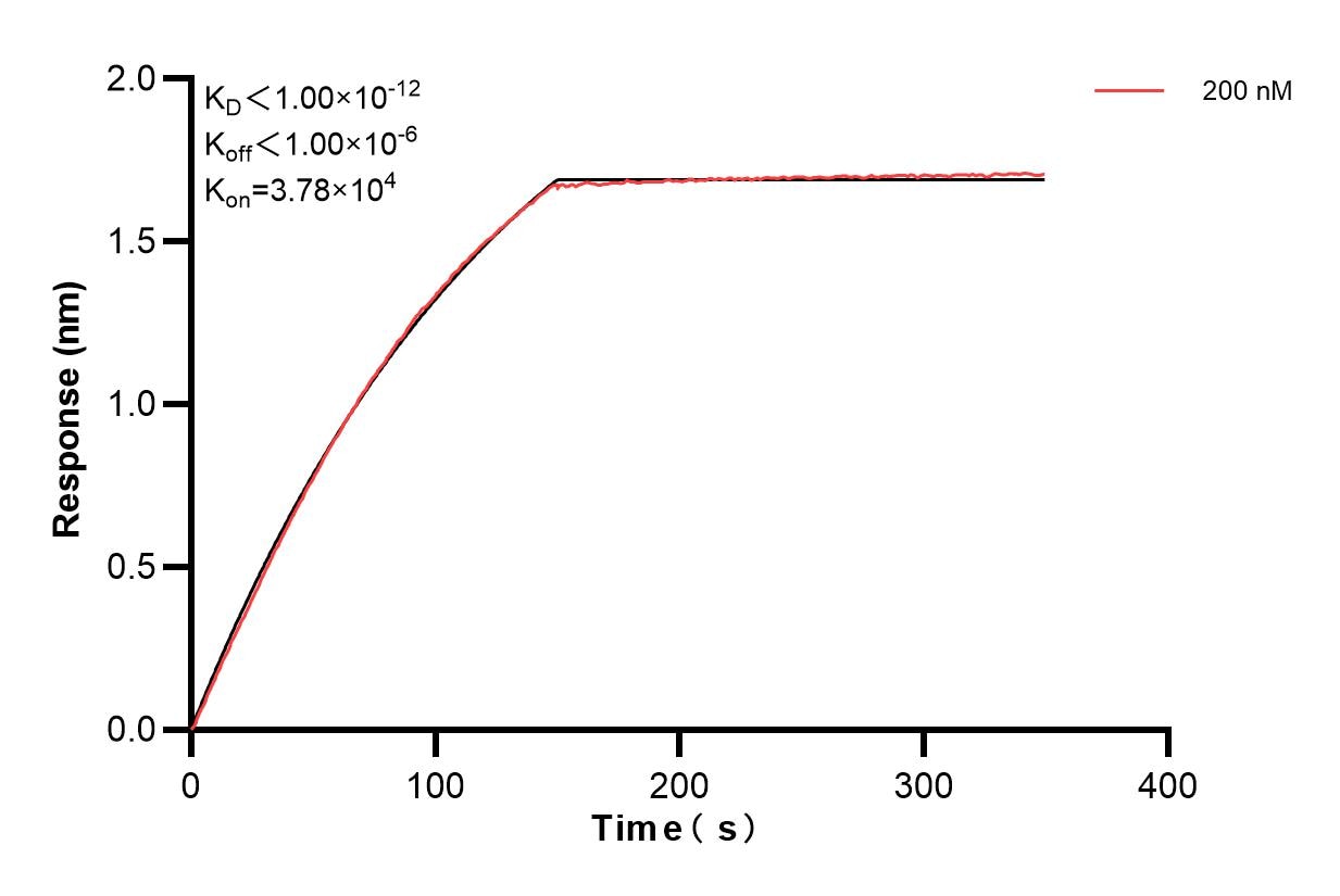 Affinity and Kinetic Characterization of 85662-3-PBS