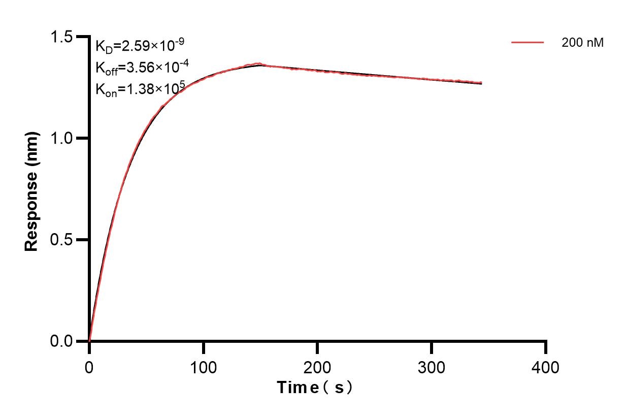 Affinity and Kinetic Characterization of 85663-3-PBS