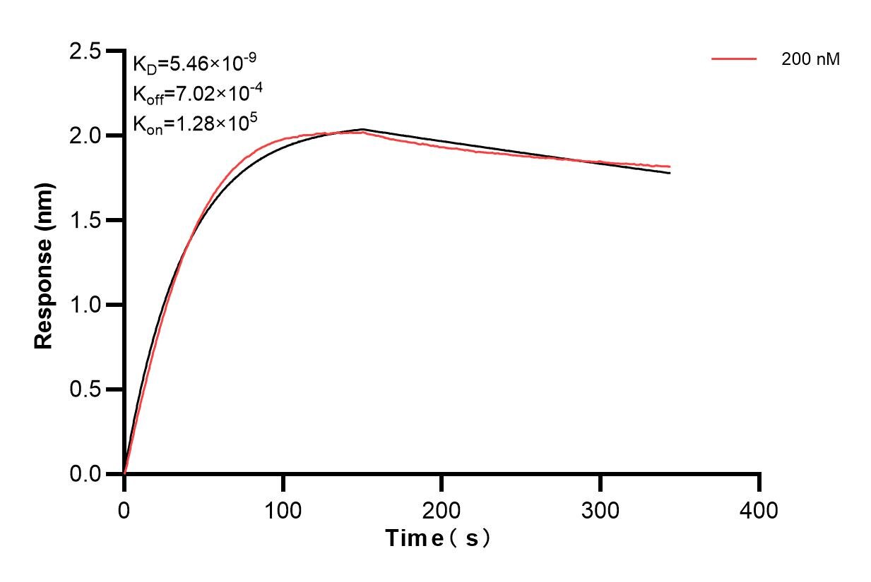 Affinity and Kinetic Characterization of 85663-6-PBS Affinity and Kinetic Characterization of 85663-6-PBS