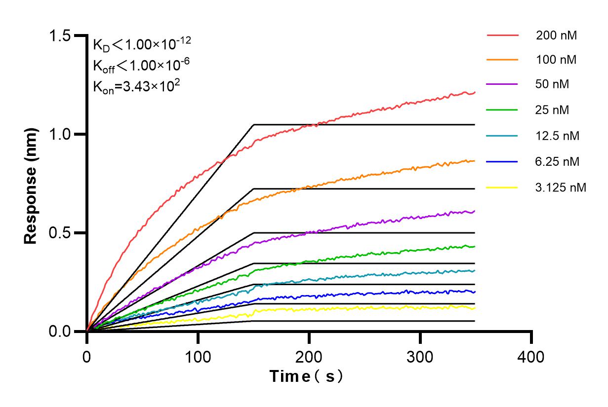 Affinity and Kinetic Characterization of 85664-4-PBS