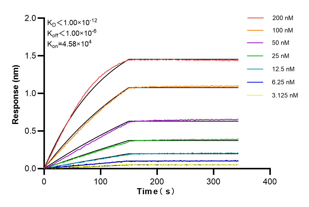 Affinity and Kinetic Characterization of 85675-5-RR