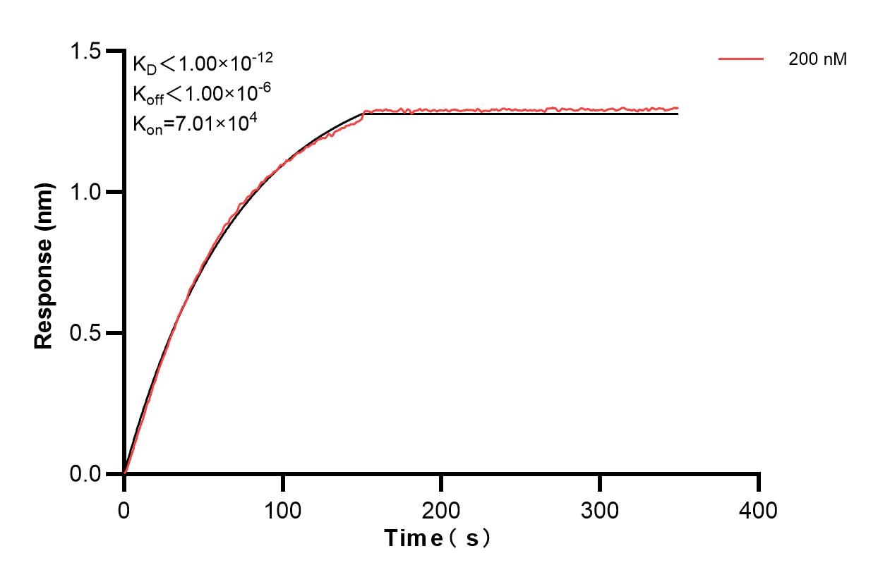 Affinity and Kinetic Characterization of 85686-3-PBS