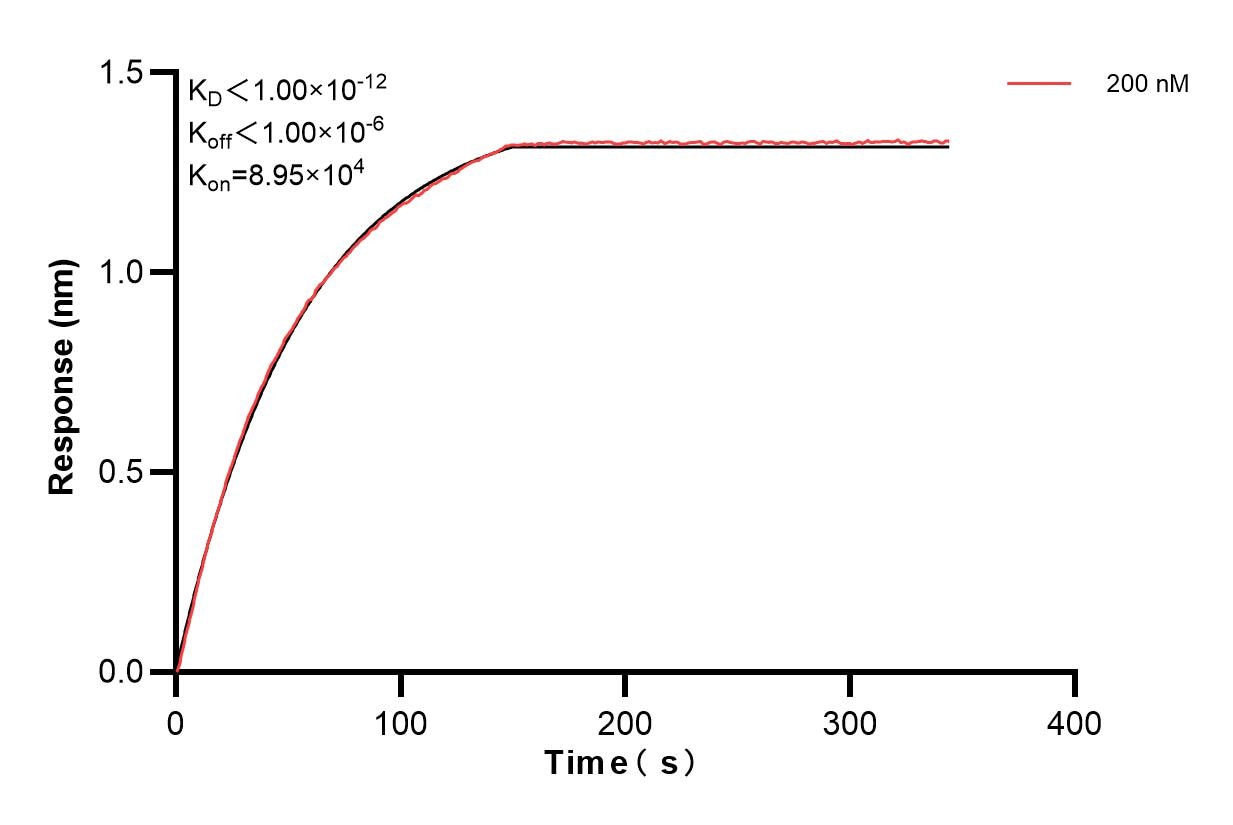 Affinity and Kinetic Characterization of 85690-4-PBS