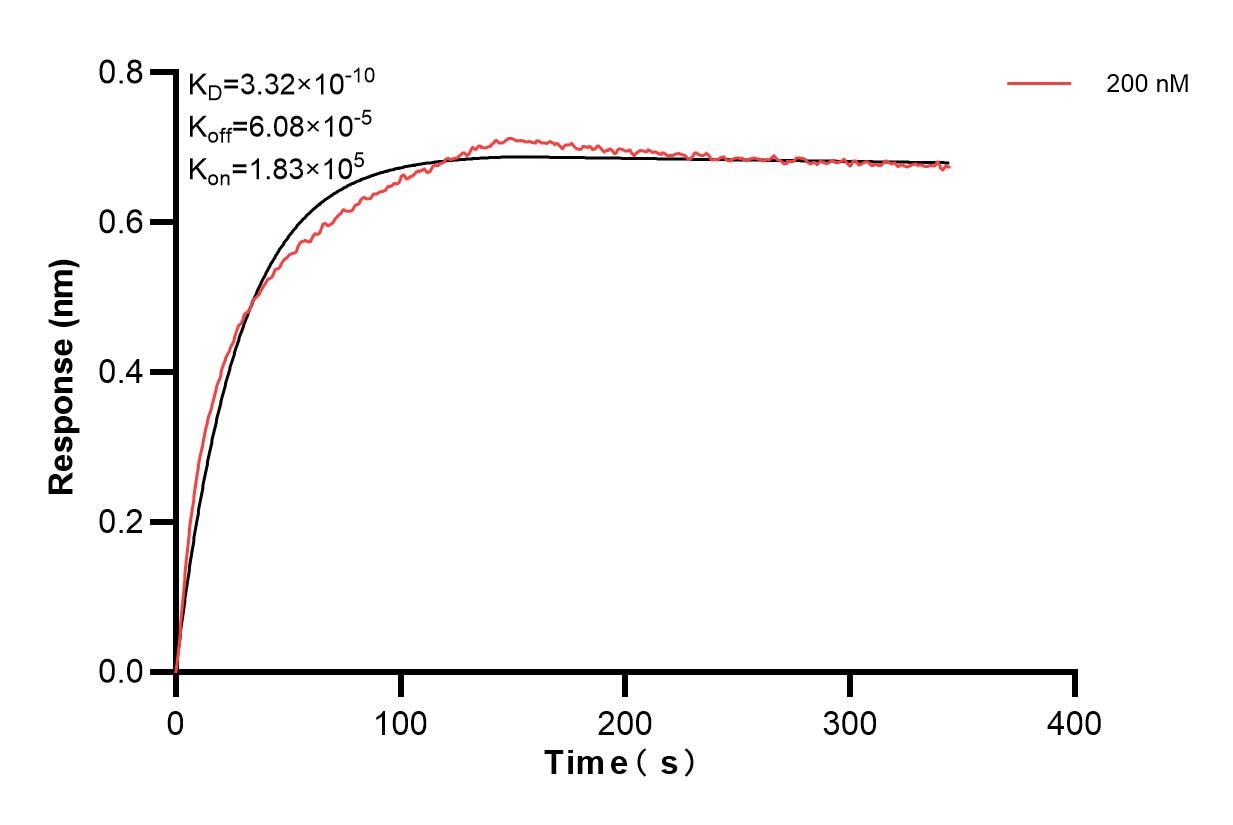 Affinity and Kinetic Characterization of 85693-2-PBS