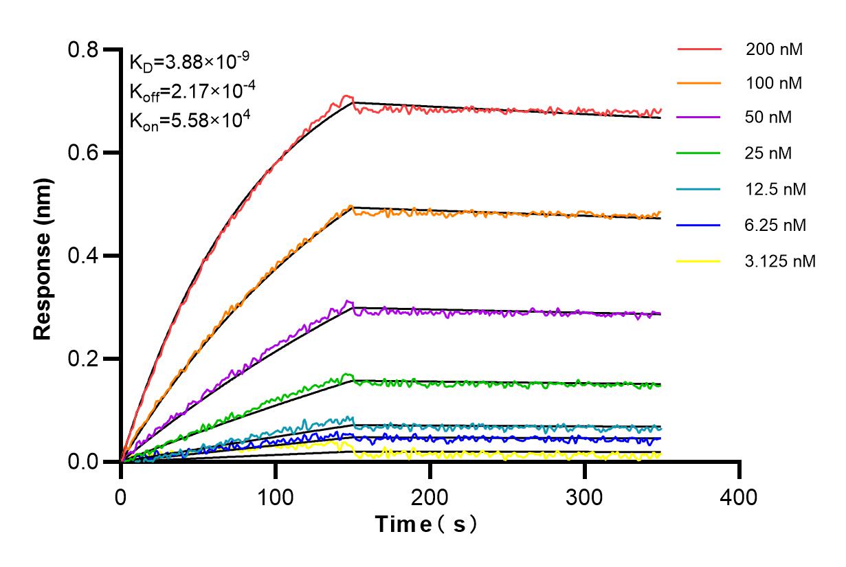 Affinity and Kinetic Characterization of 85708-2-RR