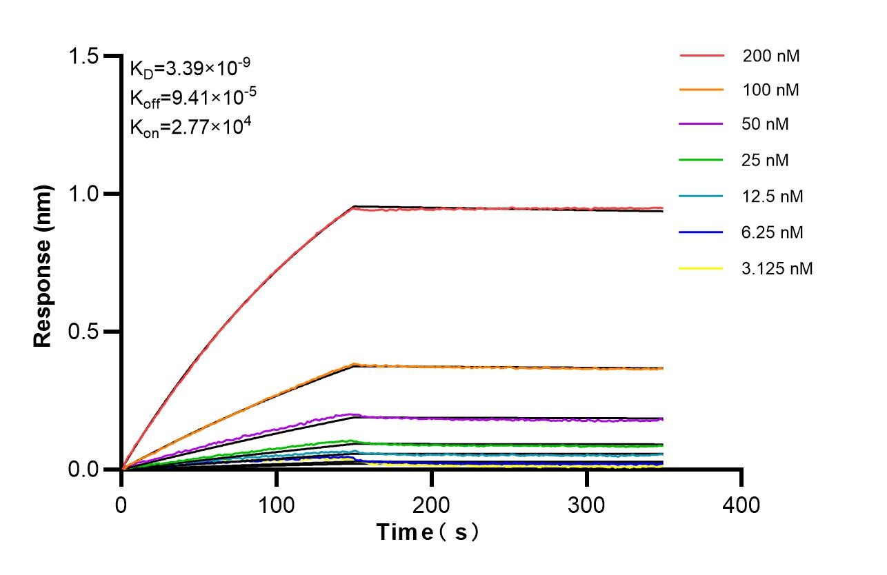 Affinity of 85713-1-RR