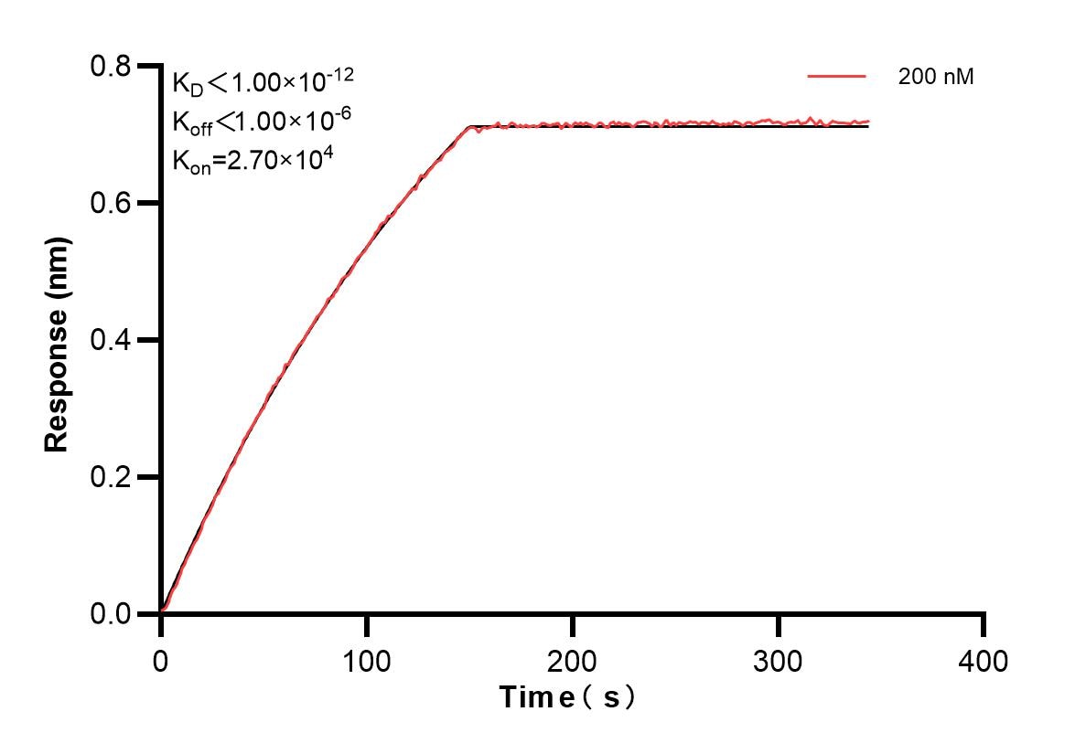 Affinity and Kinetic Characterization of 85725-2-PBS