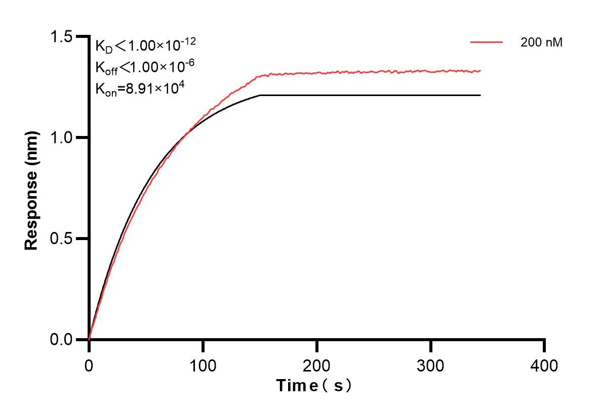 Affinity and Kinetic Characterization of 85725-4-PBS