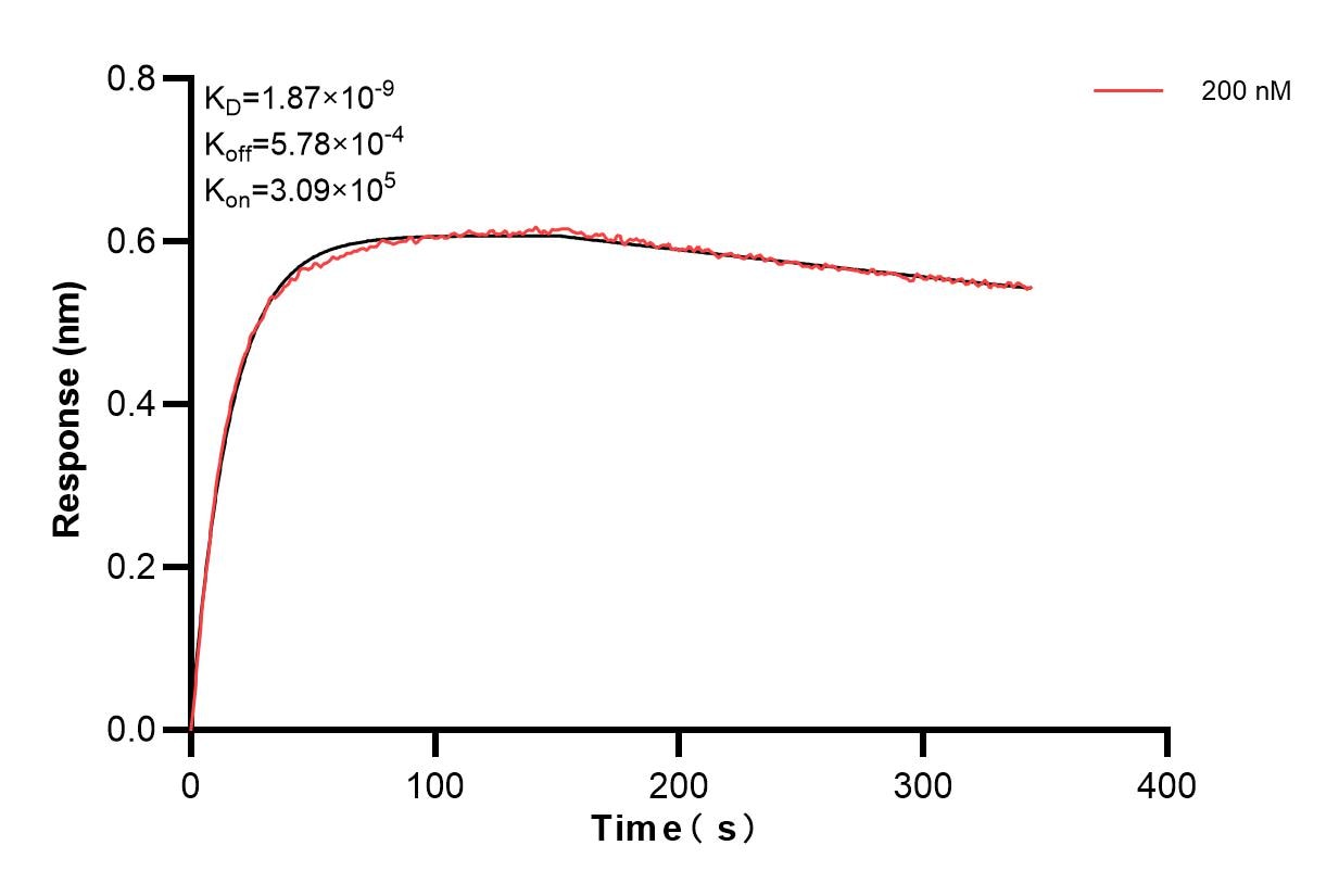 Affinity and Kinetic Characterization of 85727-5-PBS