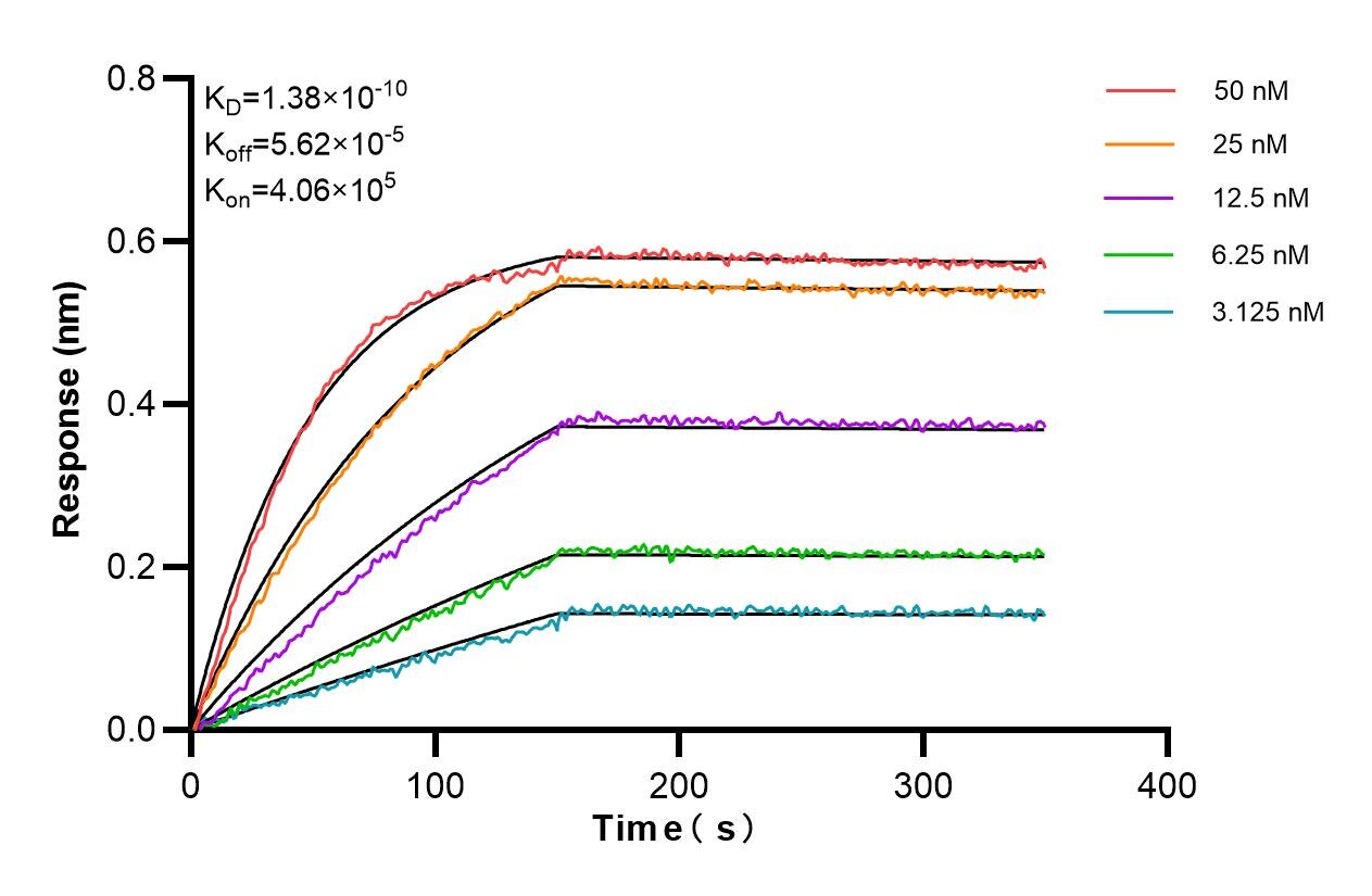 Affinity and Kinetic Characterization of 85735-2-RR