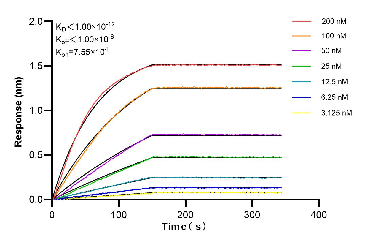Affinity and Kinetic Characterization of 85743-1-RR