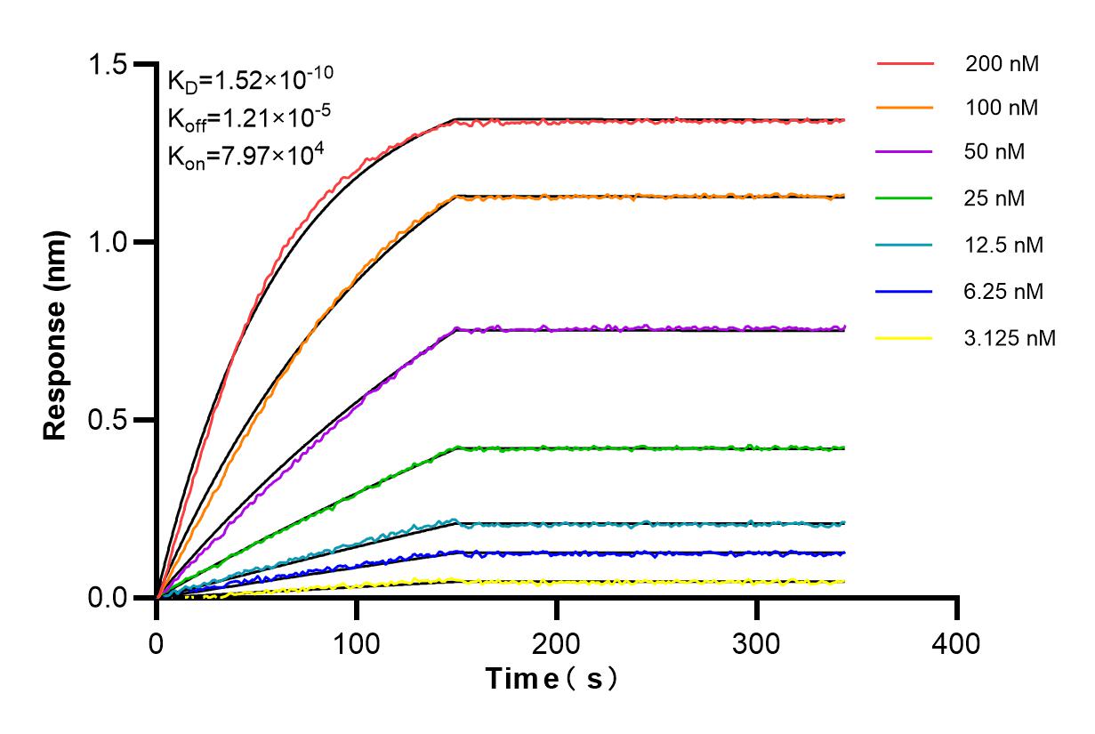 Affinity and Kinetic Characterization of 85743-2-RR