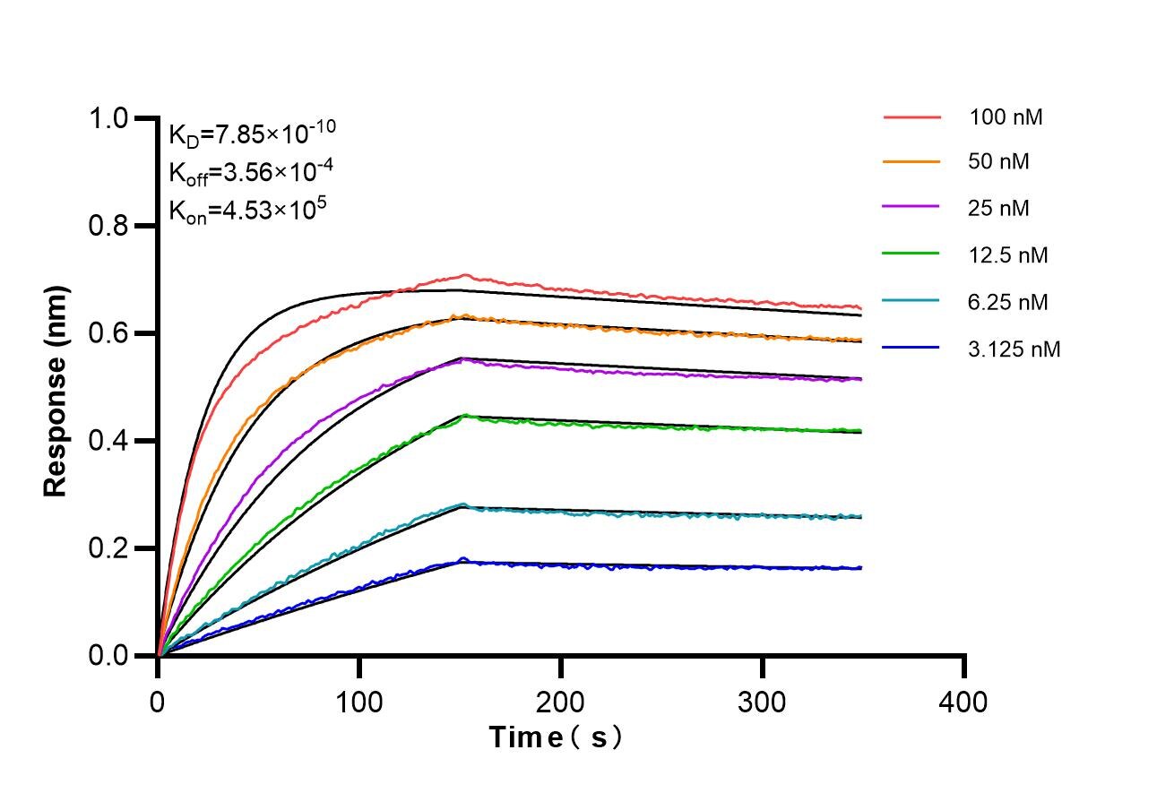 Affinity of 85745-3-RR