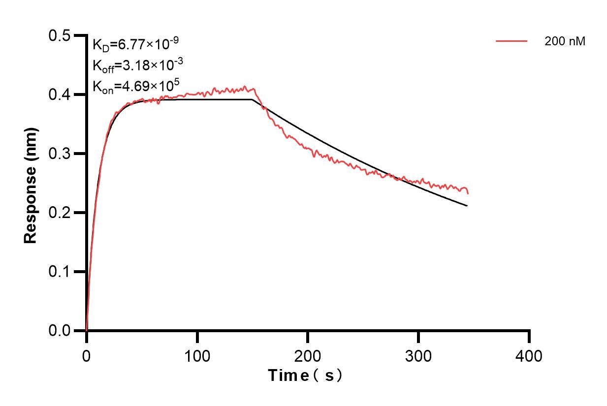 Affinity and Kinetic Characterization of 85756-2-PBS
