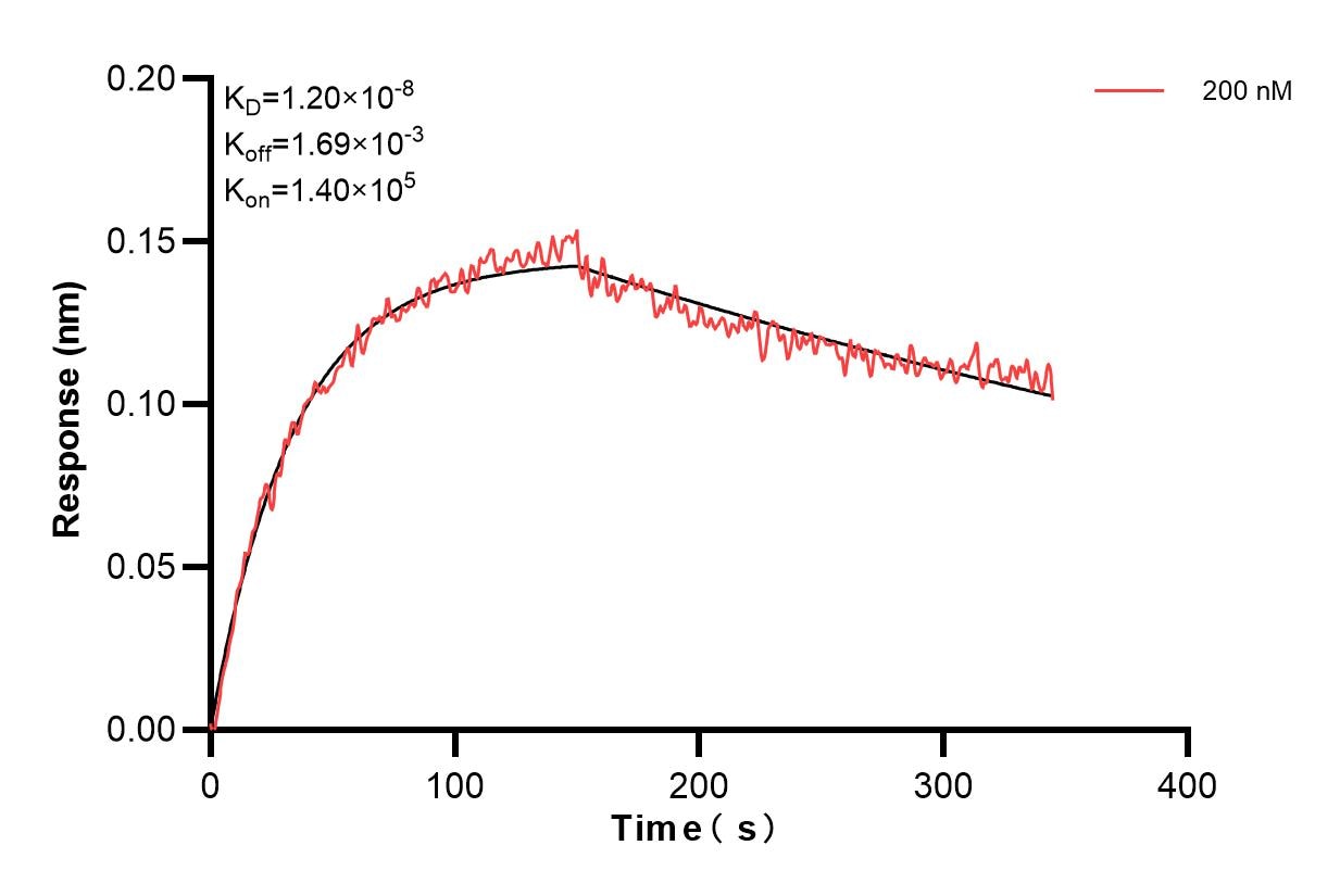 Affinity and Kinetic Characterization of 85756-3-PBS Affinity and Kinetic Characterization of 85756-3-PBS