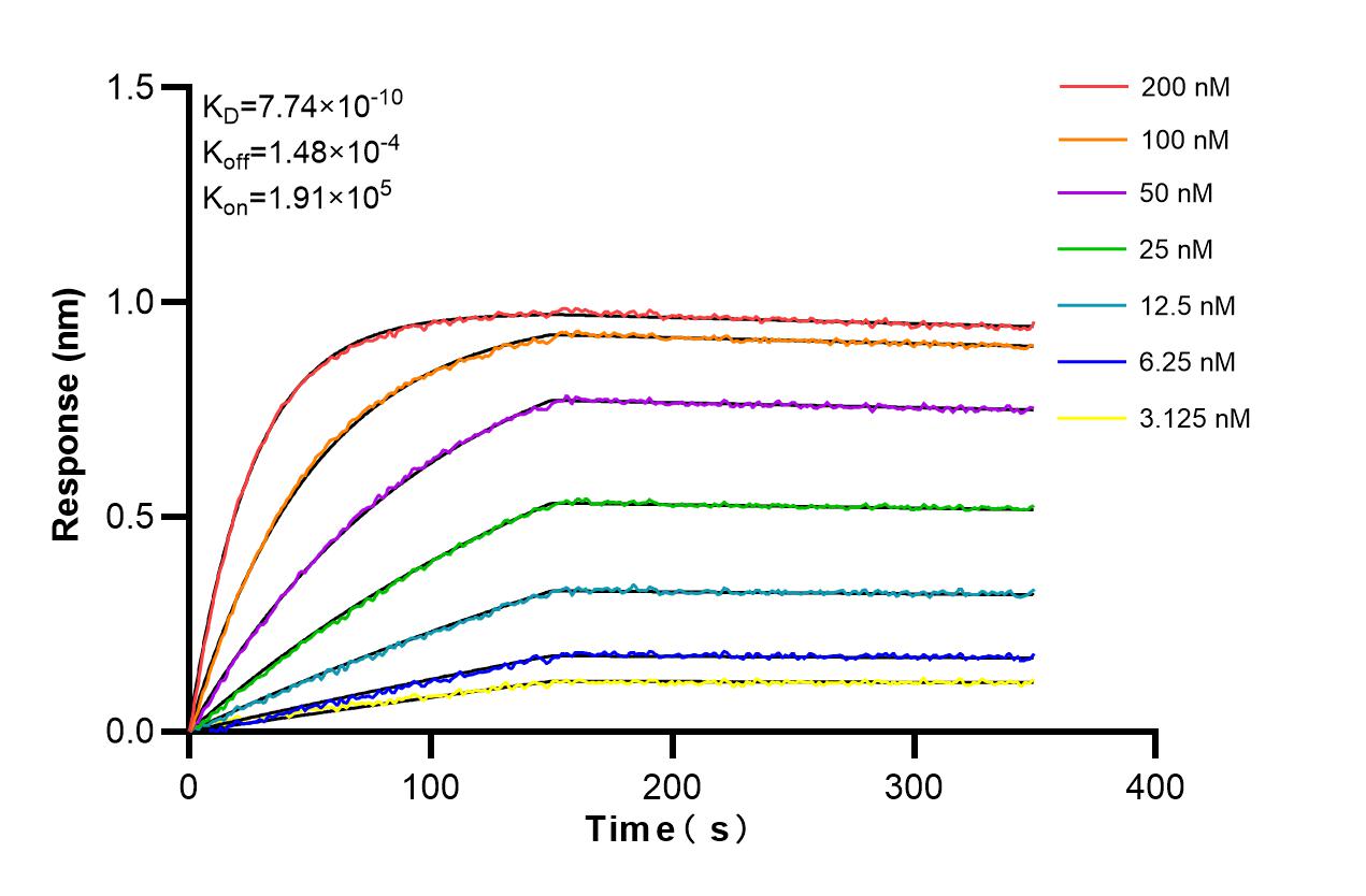 Affinity and Kinetic Characterization of 85756-5-RR