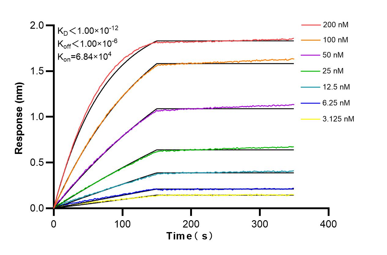 Affinity and Kinetic Characterization of 85761-4-RR