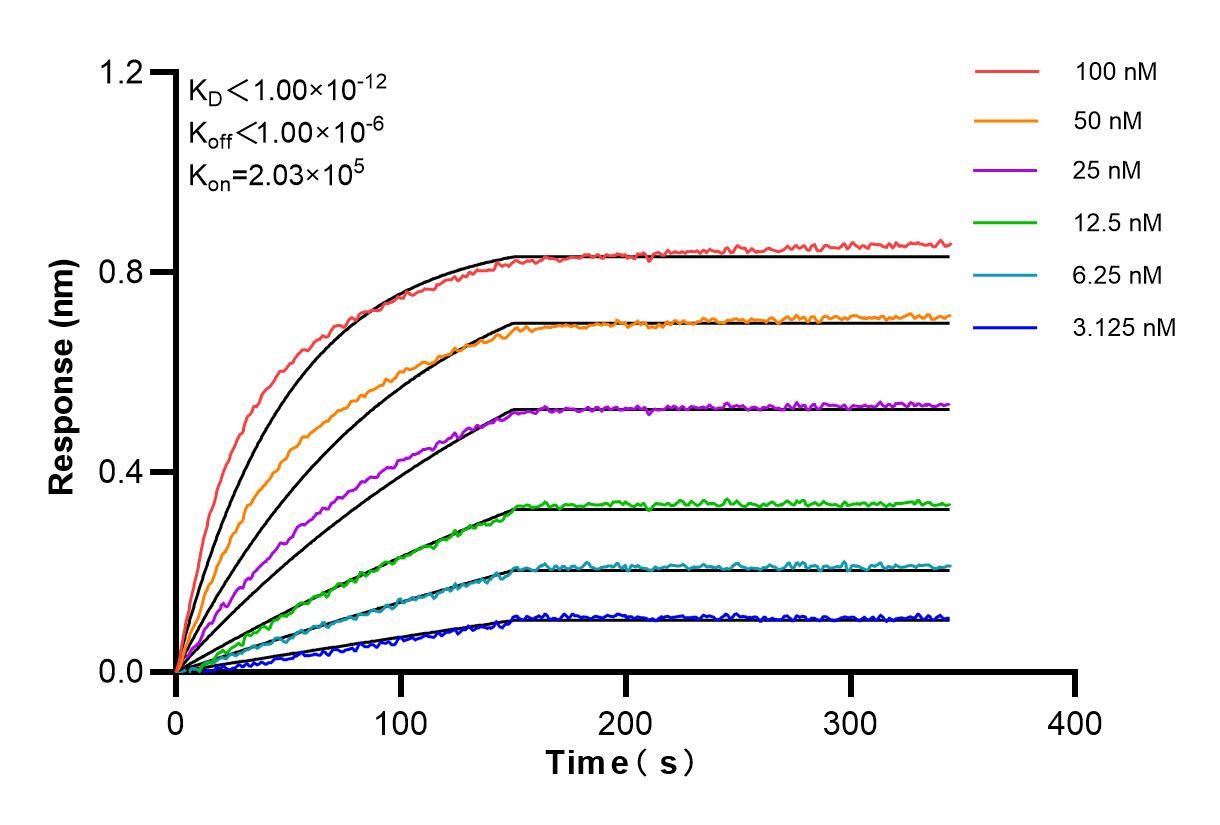 Affinity and Kinetic Characterization of 85763-4-RR