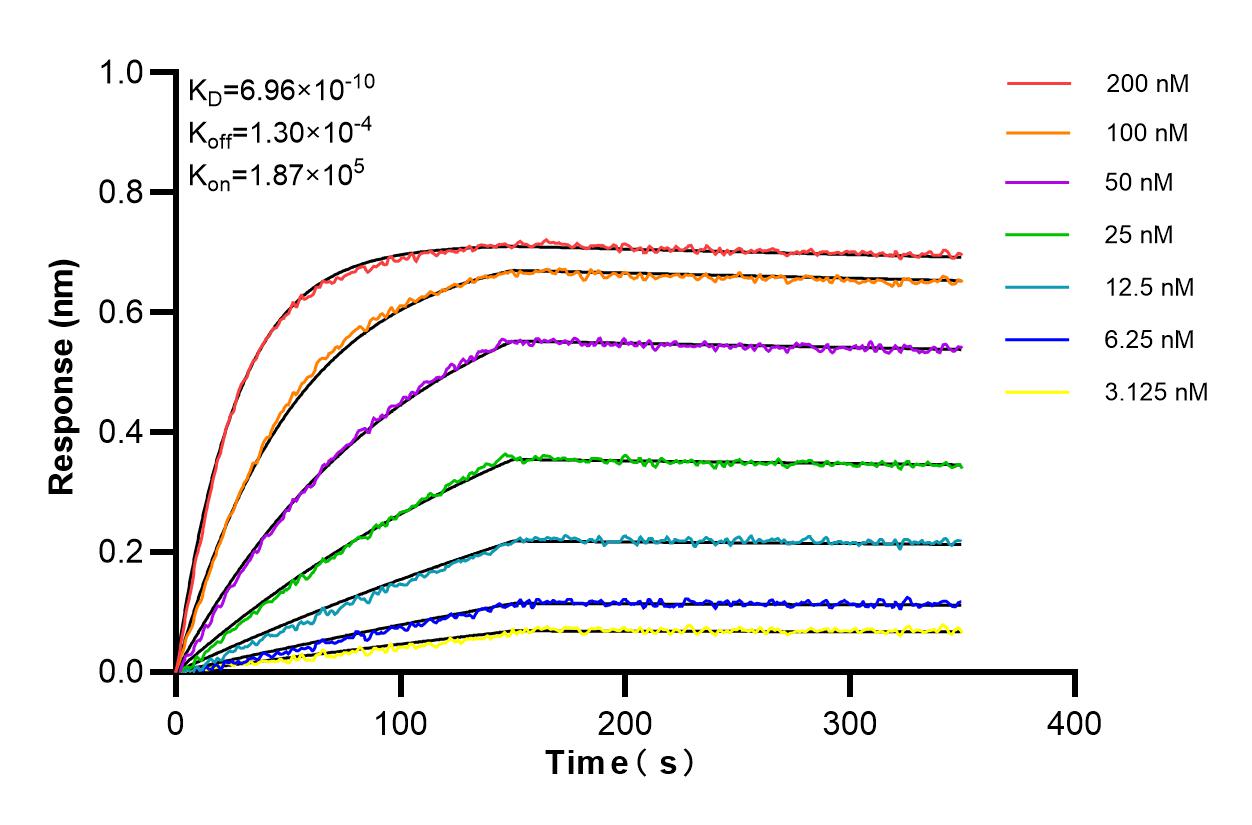Affinity and Kinetic Characterization of 85769-4-RR