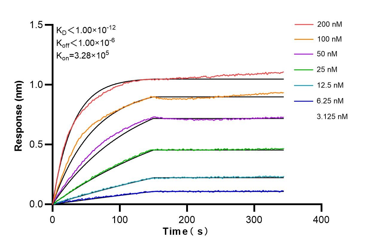 Biolayer interferometry (BLl) kinetic assays of 85789-2-PBS against Human DDX18 were performed. The affinity constant is below 1 pM. Affinity and Kinetic Characterization of 85789-2-PBS