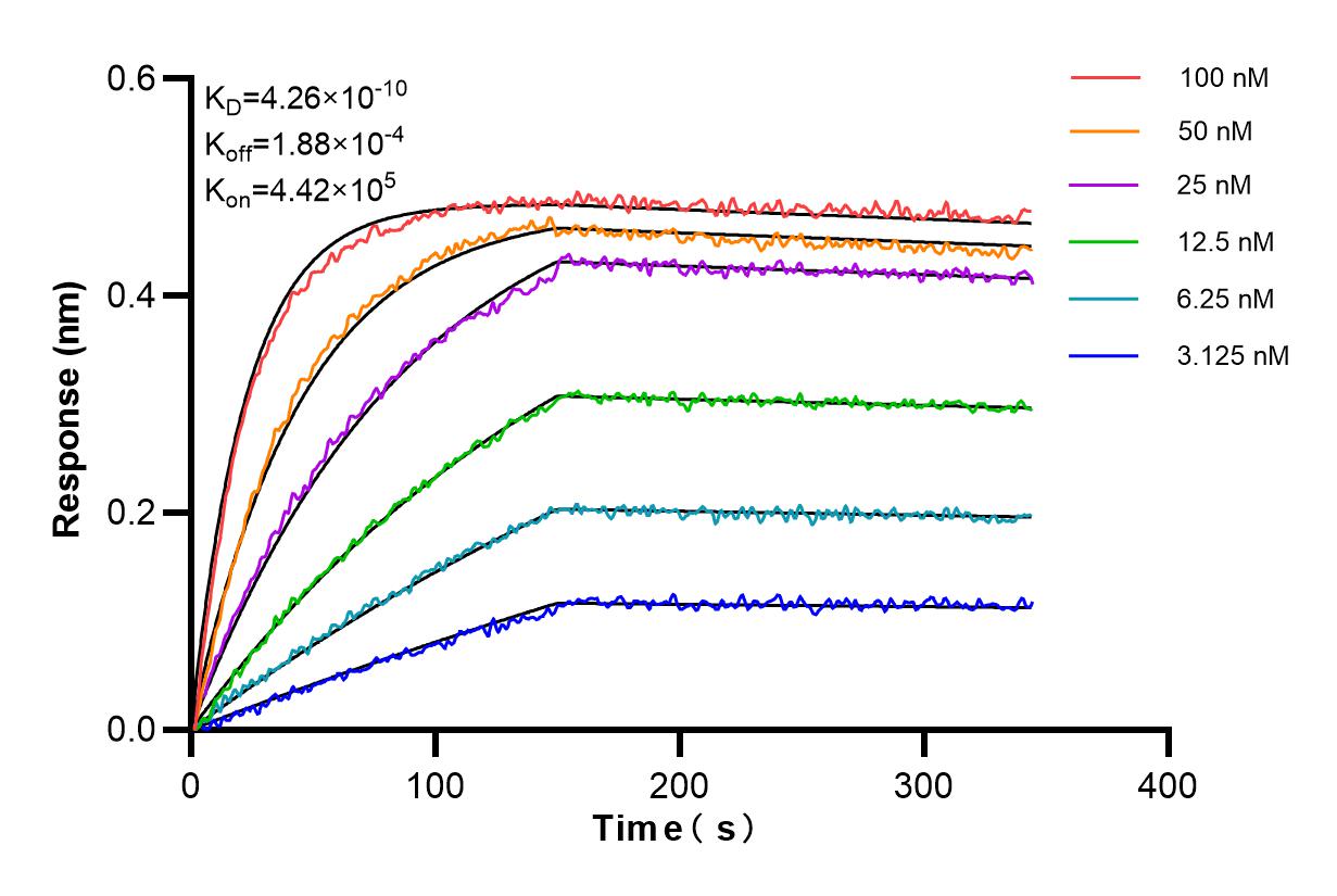 Affinity and Kinetic Characterization of 85790-4-RR