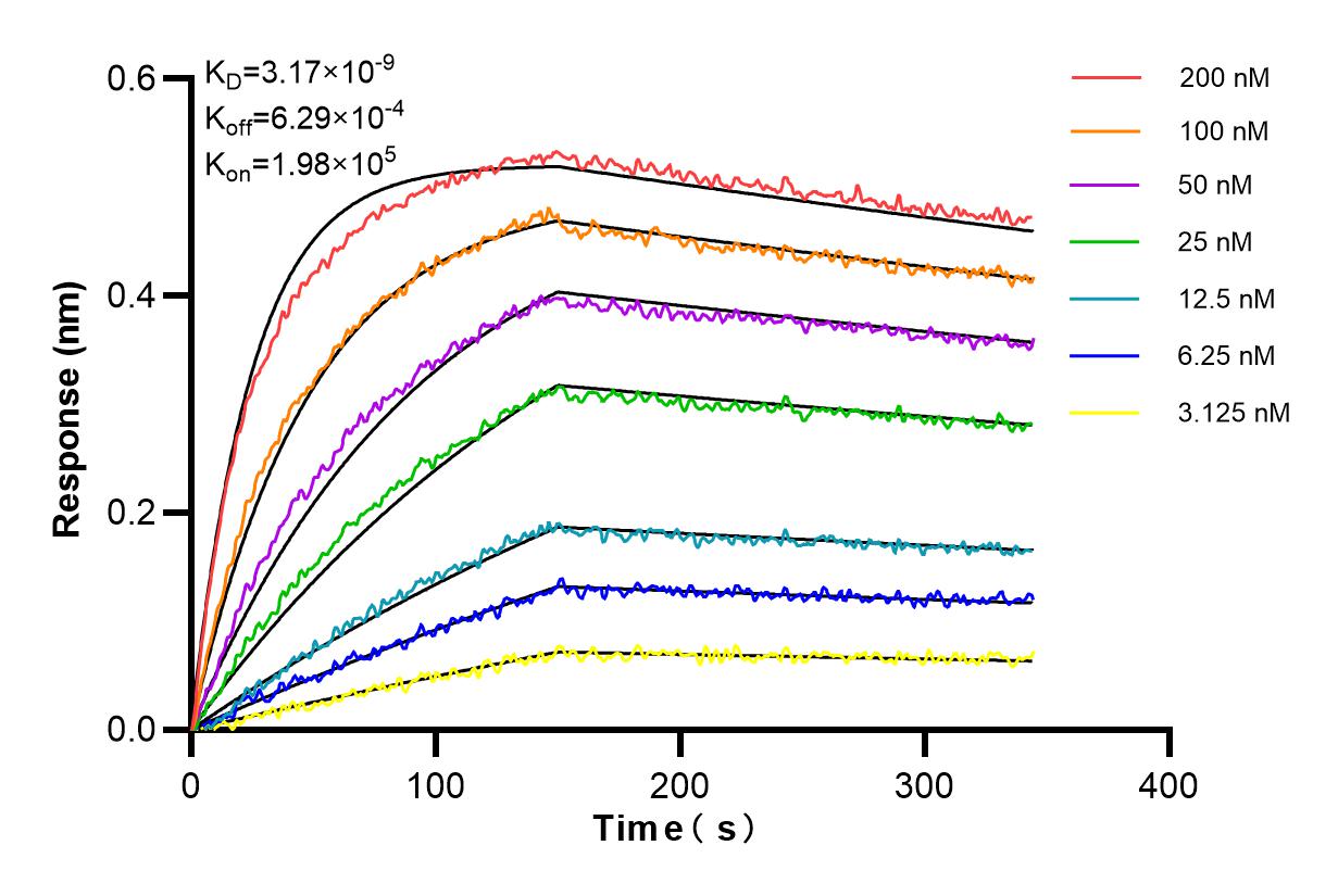 Affinity and Kinetic Characterization of 85791-4-RR