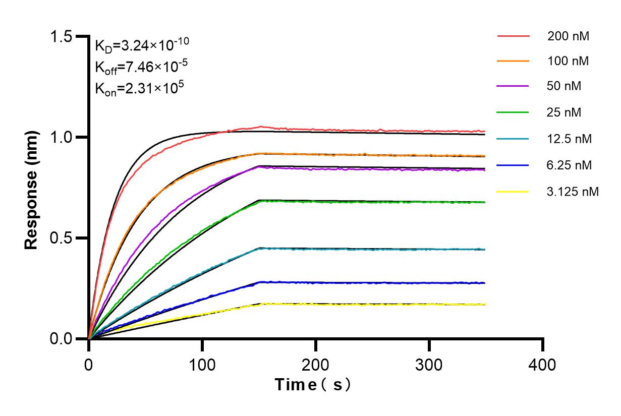 Affinity and Kinetic Characterization of 85792-1-PBS