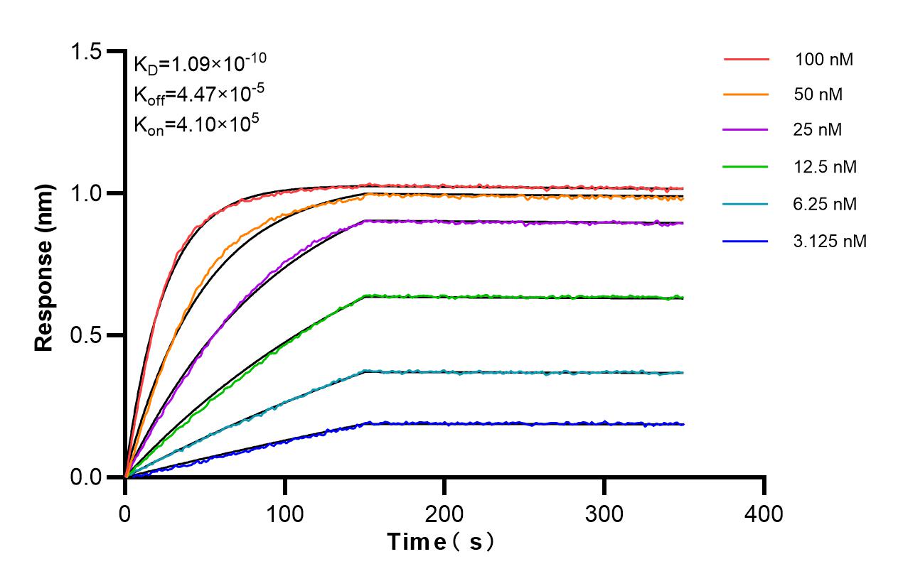 Affinity and Kinetic Characterization of 85792-2-PBS