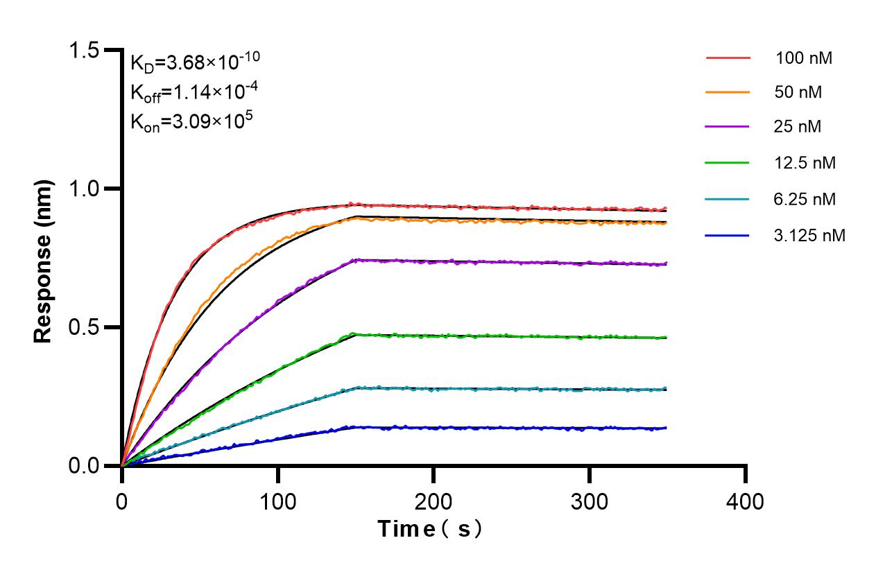 Affinity and Kinetic Characterization of 85792-6-PBS